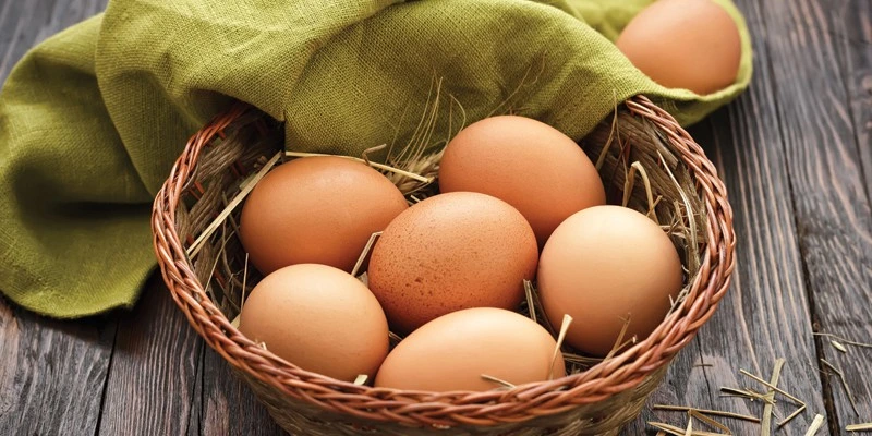 Manfaat Telur untuk Tumbuh Kembang Anak dan Kecerdasan